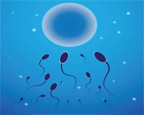 早孕症状表现特点2015_多次捐卵会影响卵子质量吗