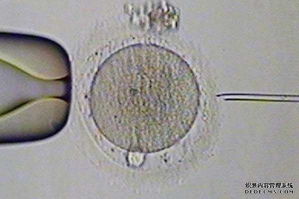 繁峙县捐卵咋捐_泰国试管婴儿基因检测对囊胚有伤害吗？基因检测有何意义？