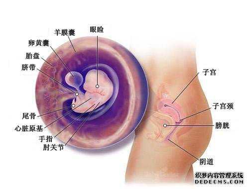 捐卵的过程_捐卵女孩可以挑_上海一妇婴试管试管成功率高吗？一次试管能成功