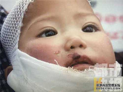中国买卵子多少钱一颗_供卵试管哪家好_美国试管婴儿合法吗？
