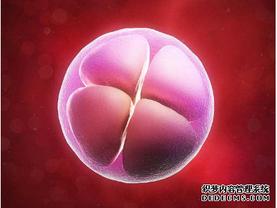 临川区几岁适合捐卵_临川区鑫宝捐卵网_试管婴儿可以保证胚胎质量吗?